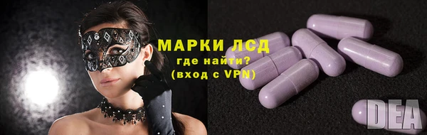 стаф Нефтегорск