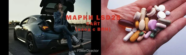 стаф Нефтегорск