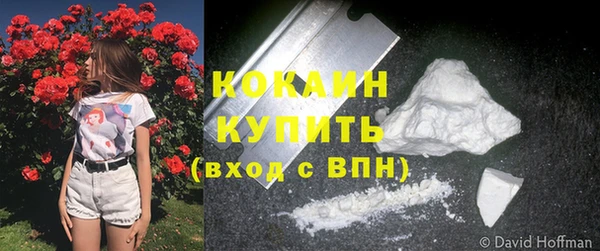 гашик Нея