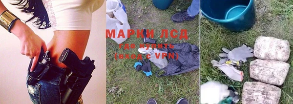 стаф Нефтегорск
