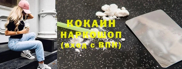 гашик Нея