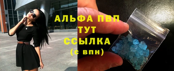 гашик Нея