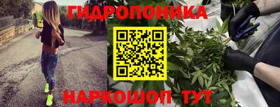 скорость Канаш