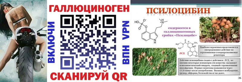 Галлюциногенные грибы GOLDEN TEACHER  Сургут 