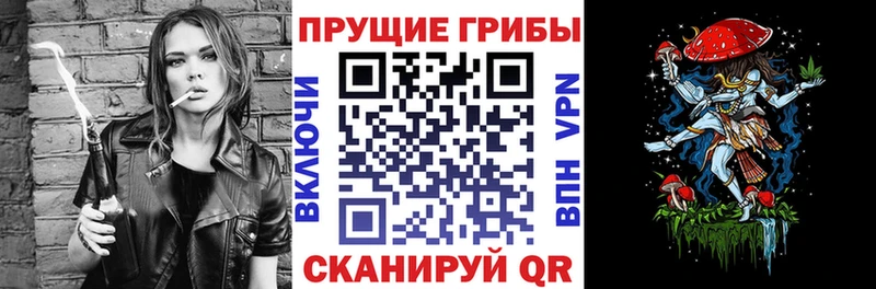Галлюциногенные грибы прущие грибы Сургут