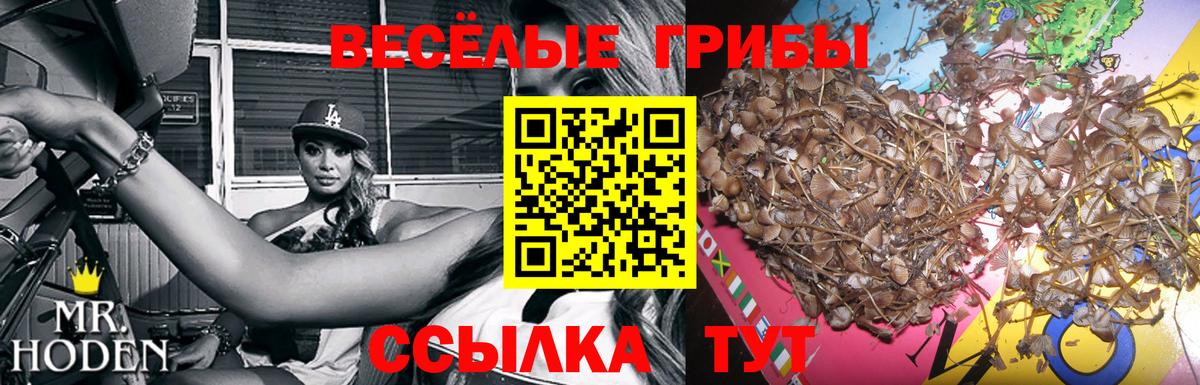 Галлюциногенные грибы ЛСД  Сургут  Псилоцибиновые грибы мицелий 