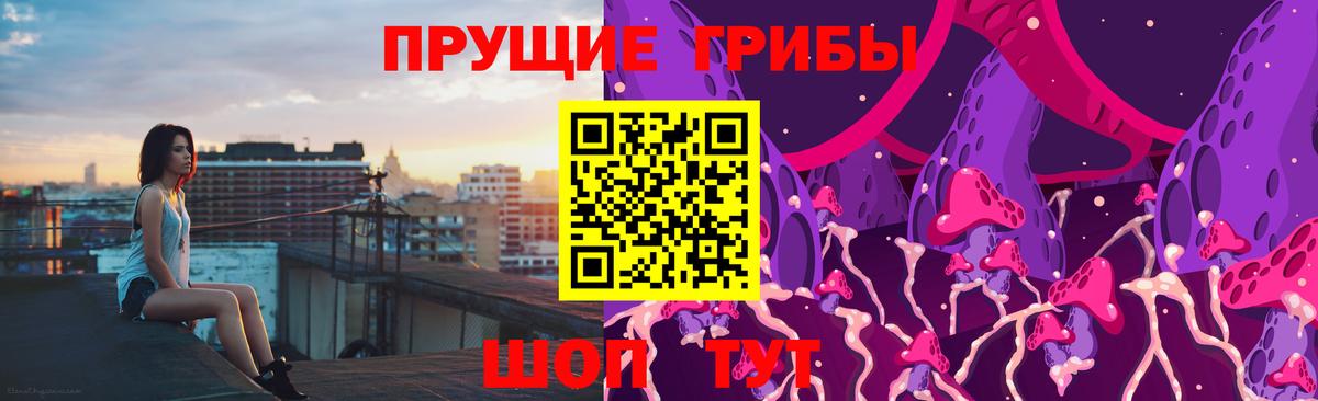 Псилоцибиновые грибы Psilocybe  Вход с VPN  Сургут 