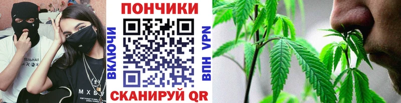 МАРИХУАНА сатива Сургут